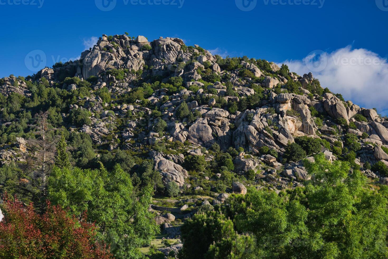 mountains, landscape, view, nature, plants, spring, sunny, flora photo