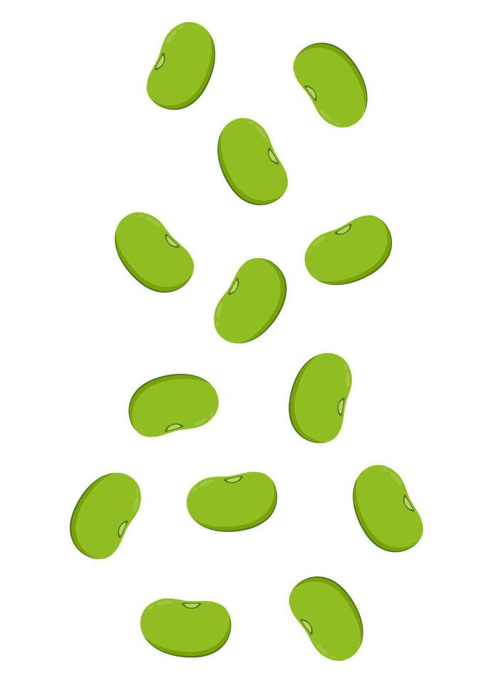 Mung Bean . Mung Bean on white background. vector
