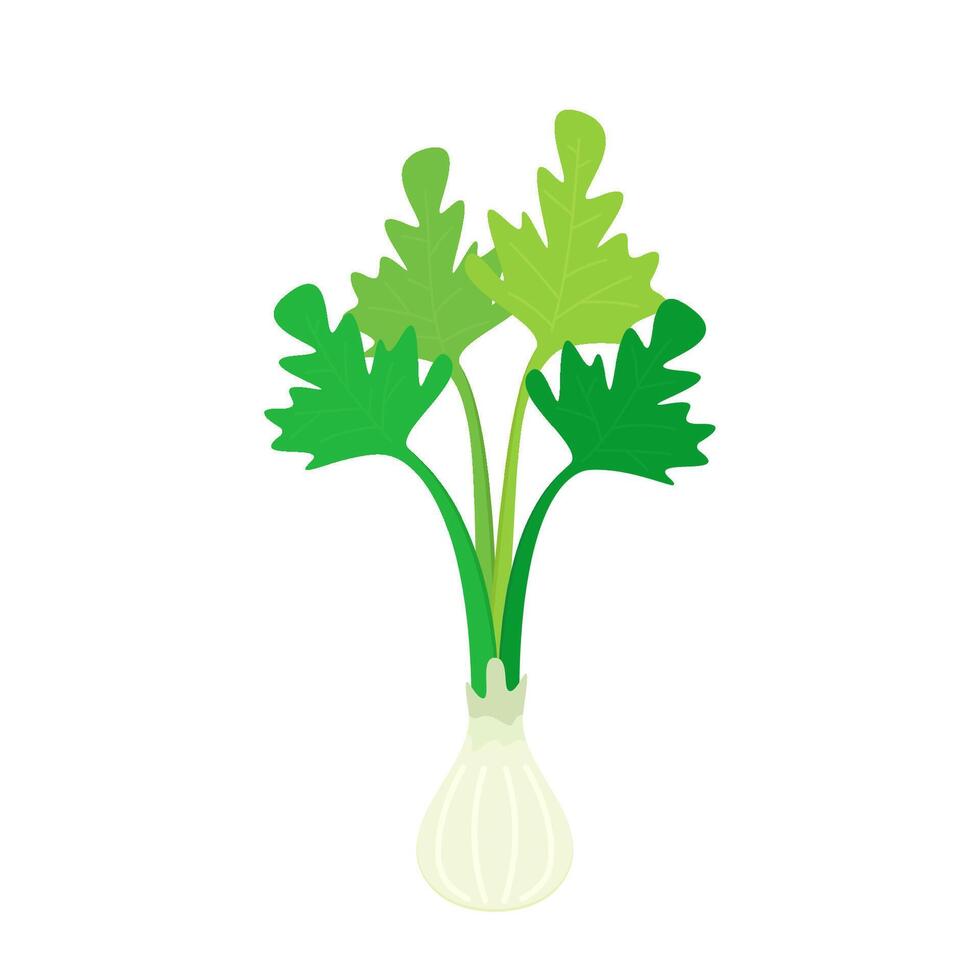 Coriander character design. Coriander cartoon on white background. vector