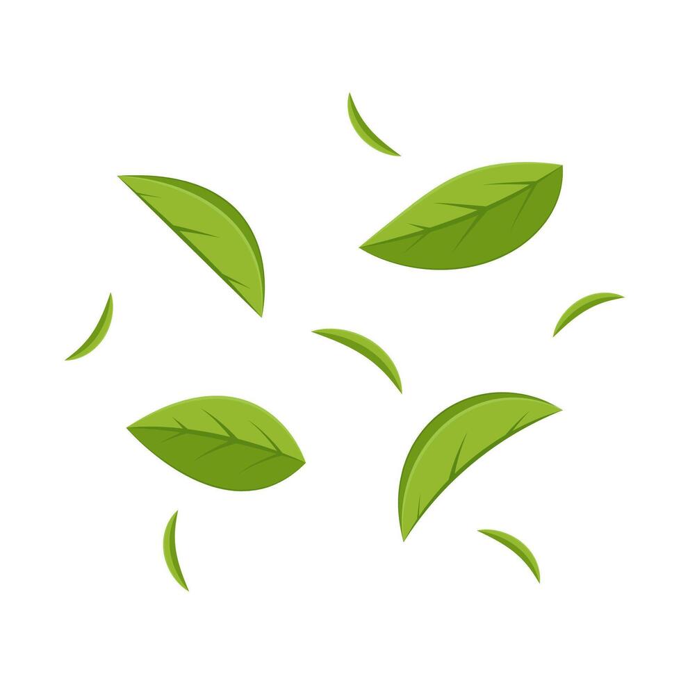 Leaf logo design inspiration, Tea leaf isolated on cream background. vector