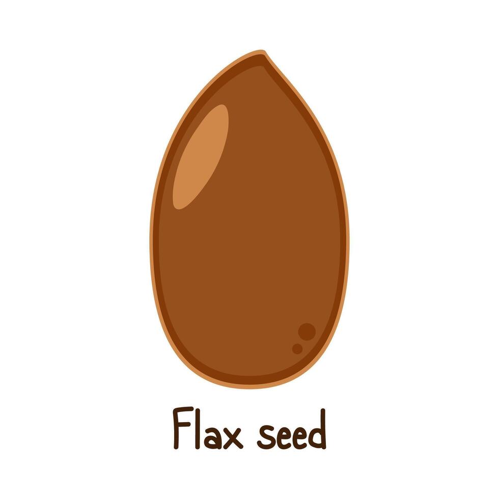 Flax seed . Flax seed on white background. vector