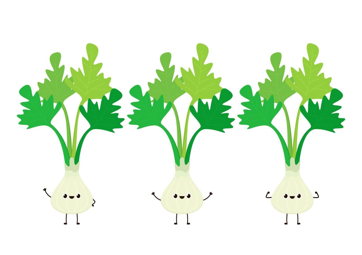 Coriander character design. Coriander cartoon on white background. vector
