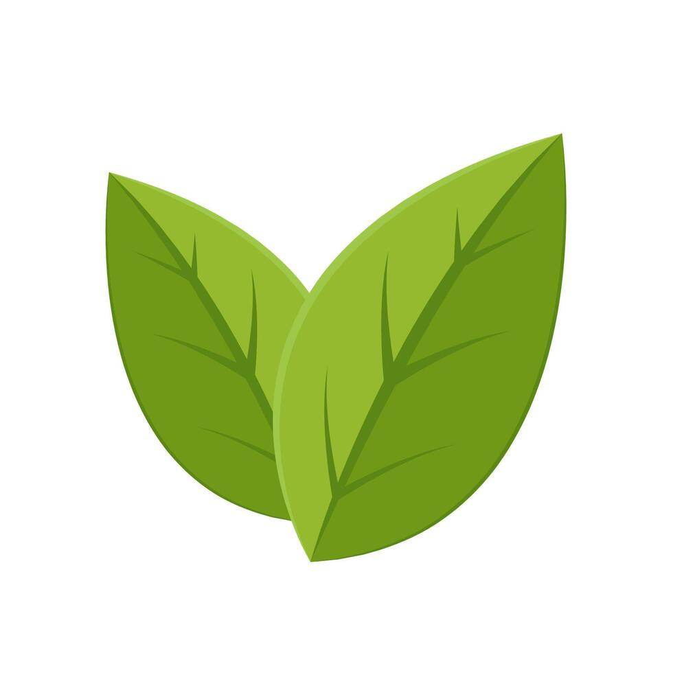 Leaf logo design inspiration, Tea leaf isolated on cream background. vector