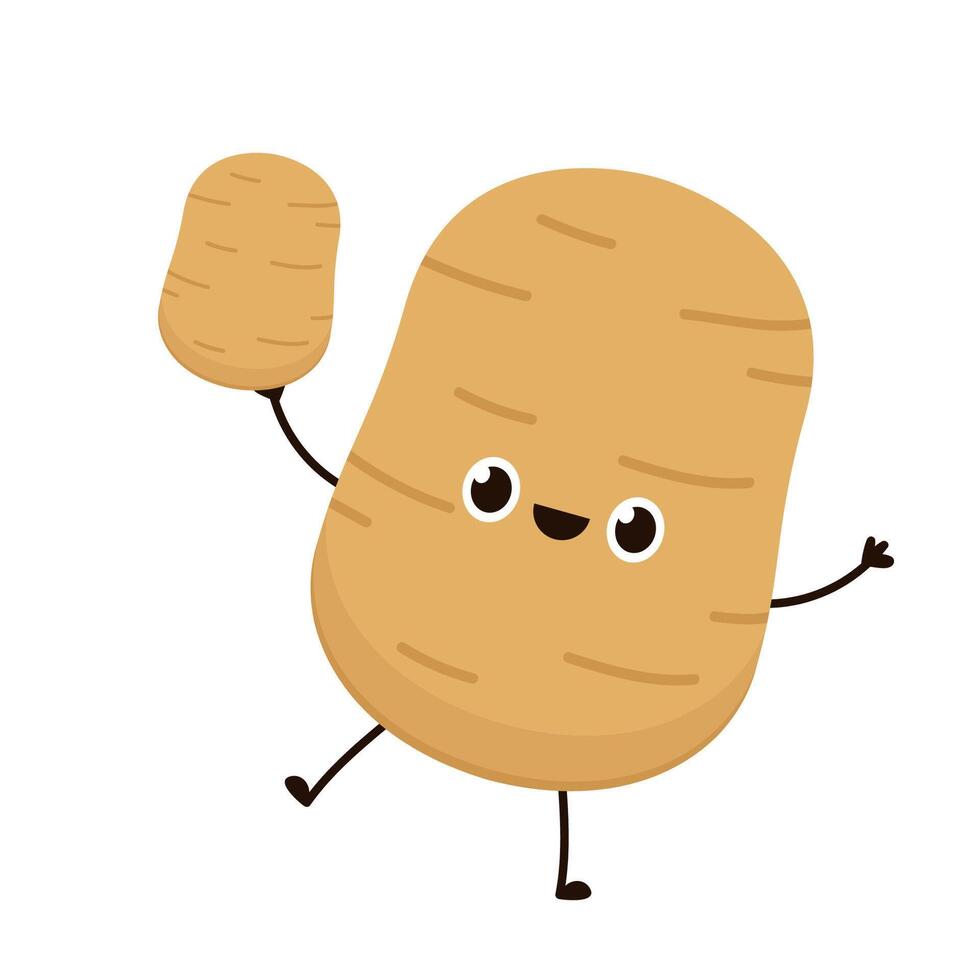 Potato character design. Potato . Potato on white background. vector