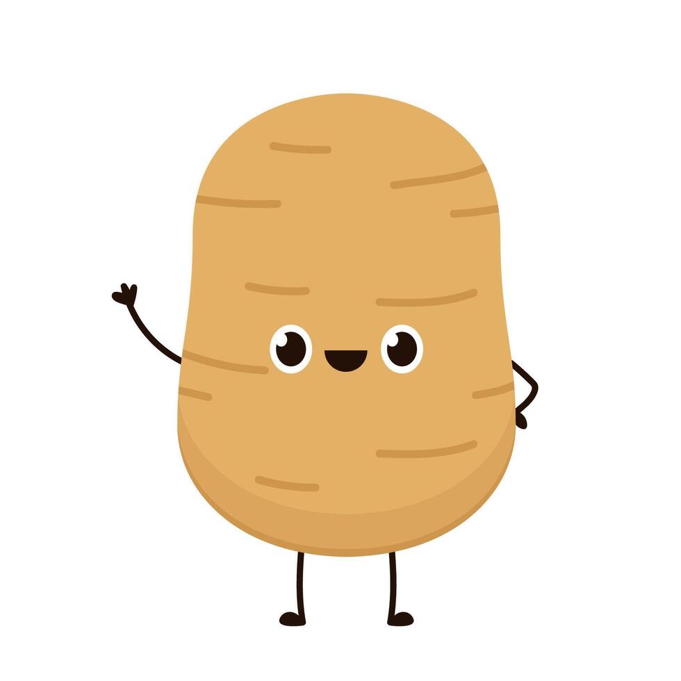 Potato character design. Potato . Potato on white background. vector