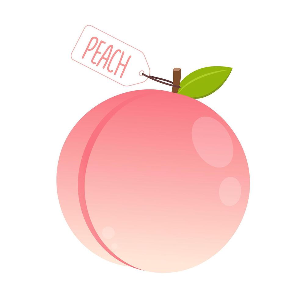 Peach . Peach on white background. Peach logo design. vector