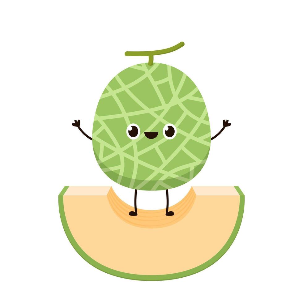 Melon character design. melon on white background. Melon cartoon. vector