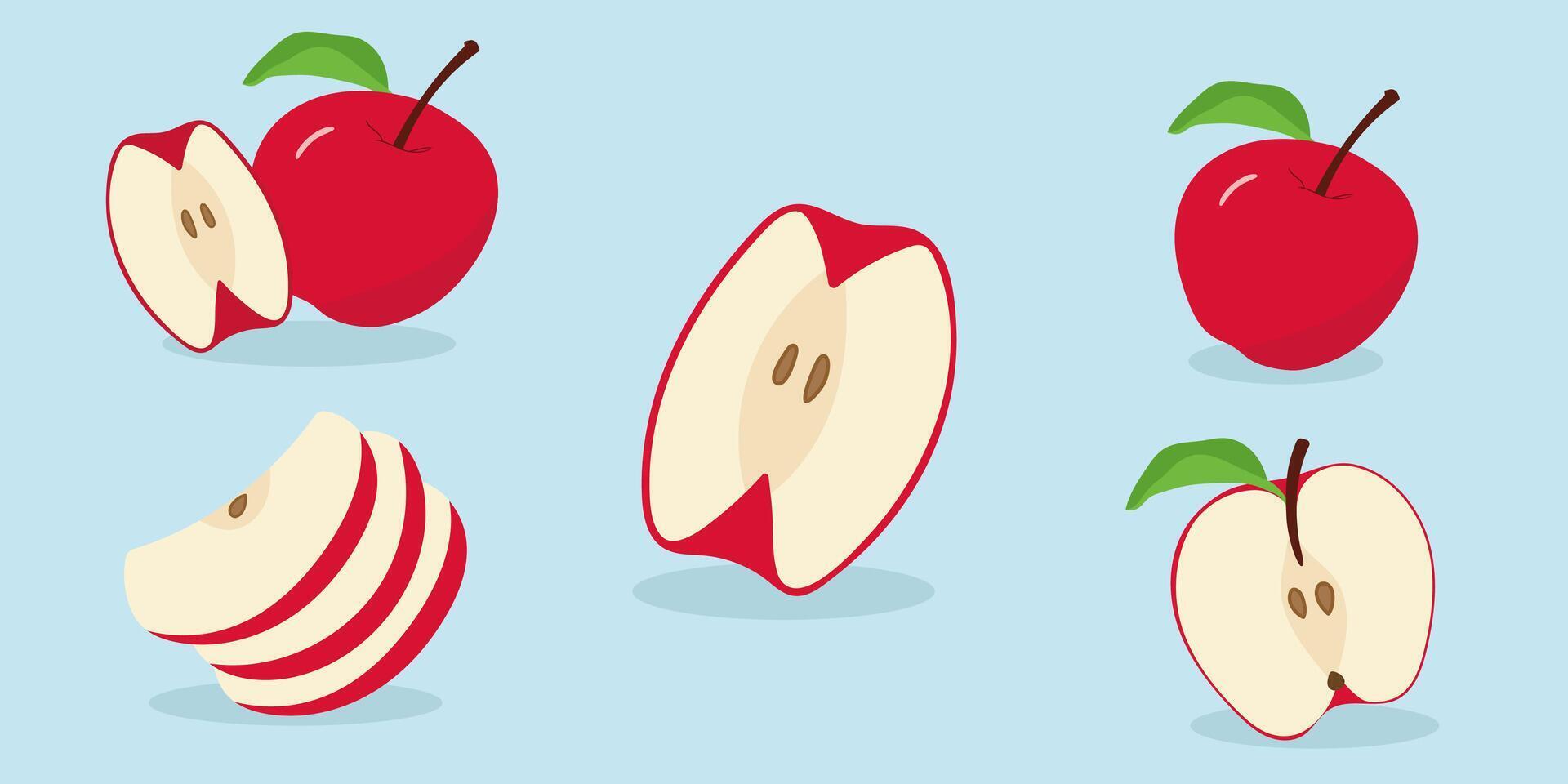 Cute red apple set illustration. vector