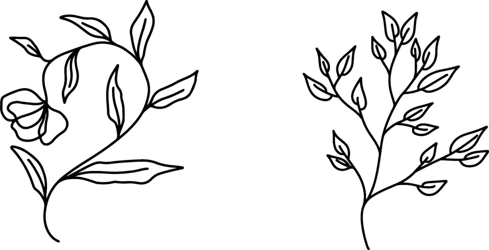 flower drawing design vector