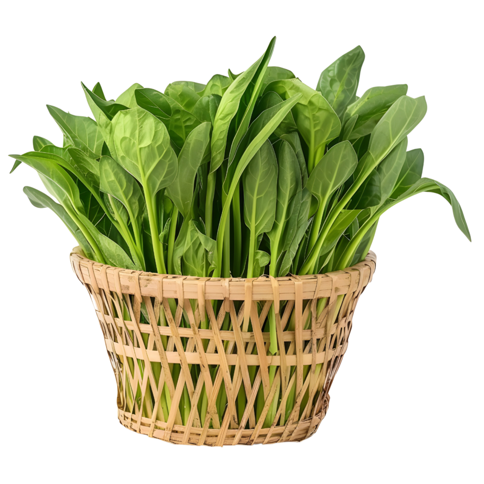 A basket with water spinach png