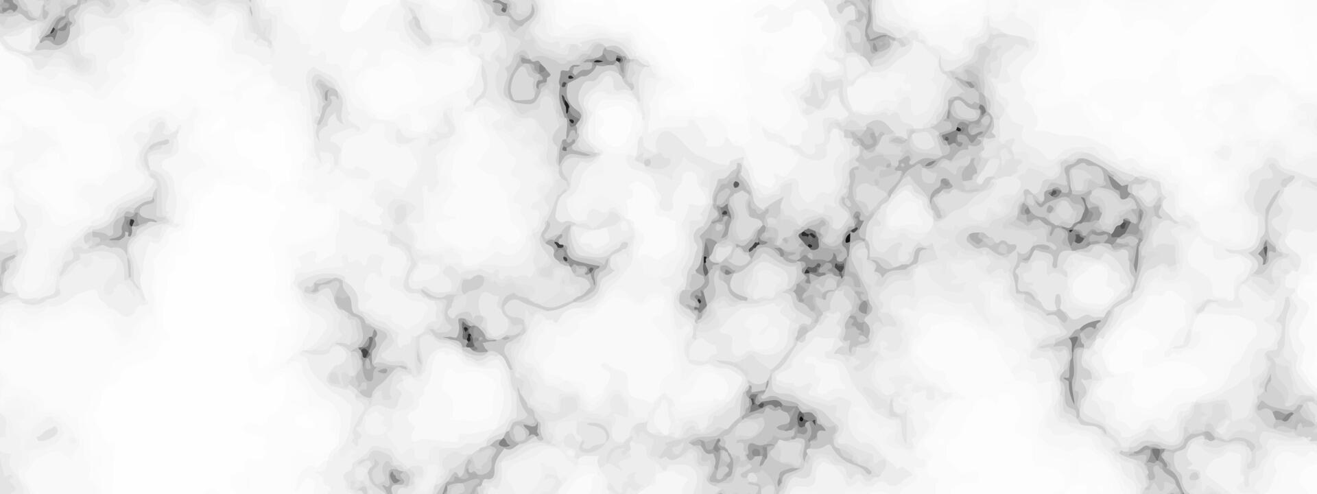 White marble texture background vector