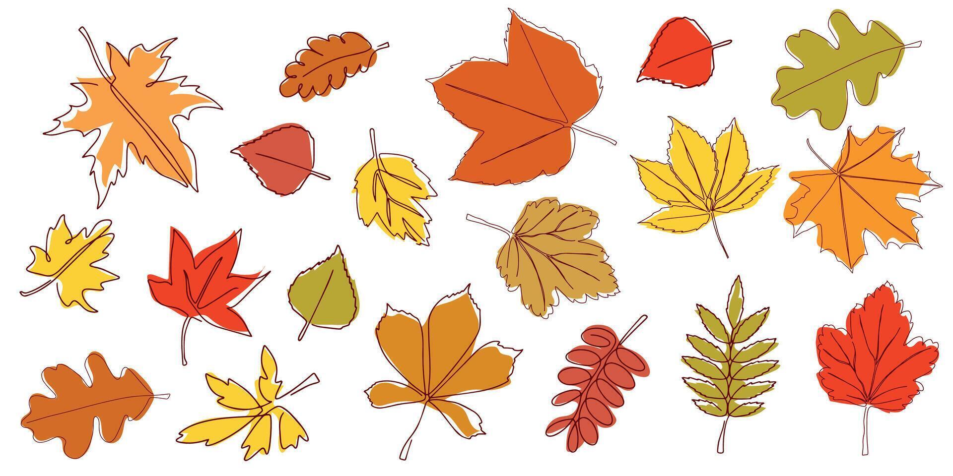 Set of bright autumn leaves drawn in a continuous line. Autumn leaf in one line style. Flower sketch. Composition of various leaves. Simple contour leaves. illustration vector