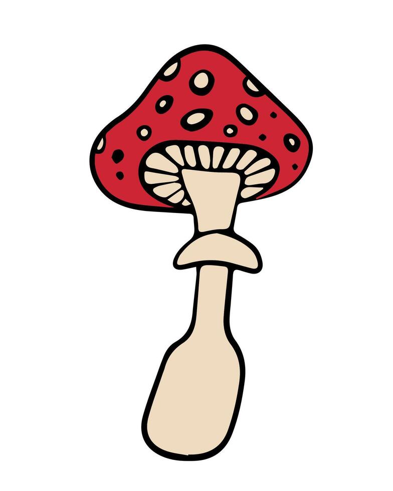 iIlustration of fly agaric on a white background. vector