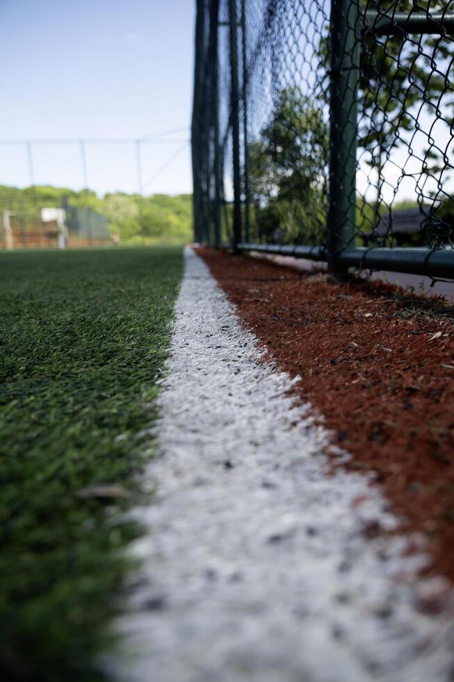 white line on the football field photo