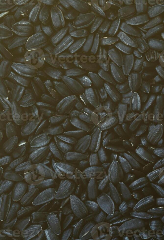 A pattern of many unprocessed fried sunflower seeds in a black shell. photo