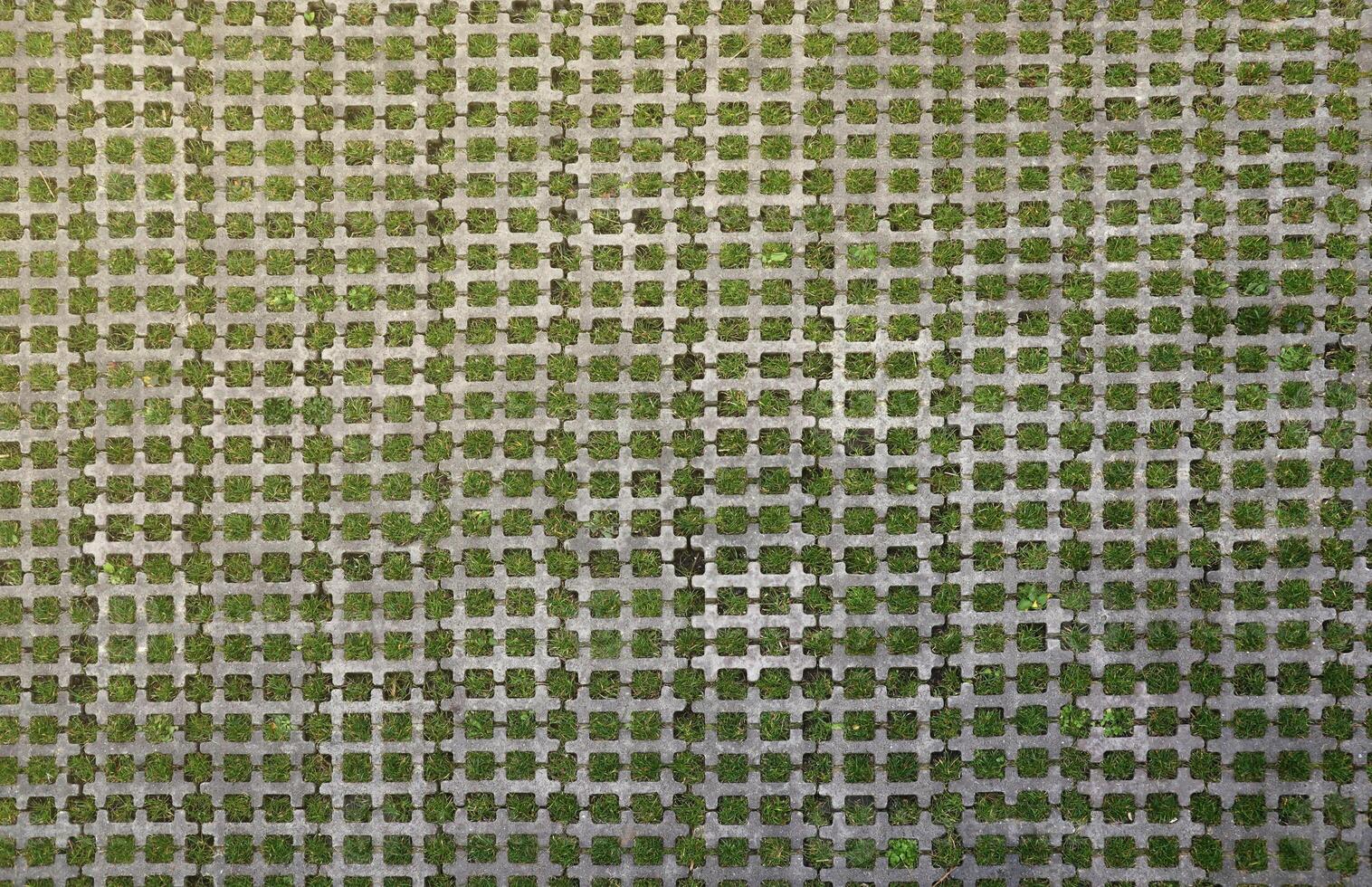 Geometric background of eco floor bricks and green grass. Eco parking texture. Floor stone tile with a rhomb hole for grass. Eco-friendly parking of concrete cells photo