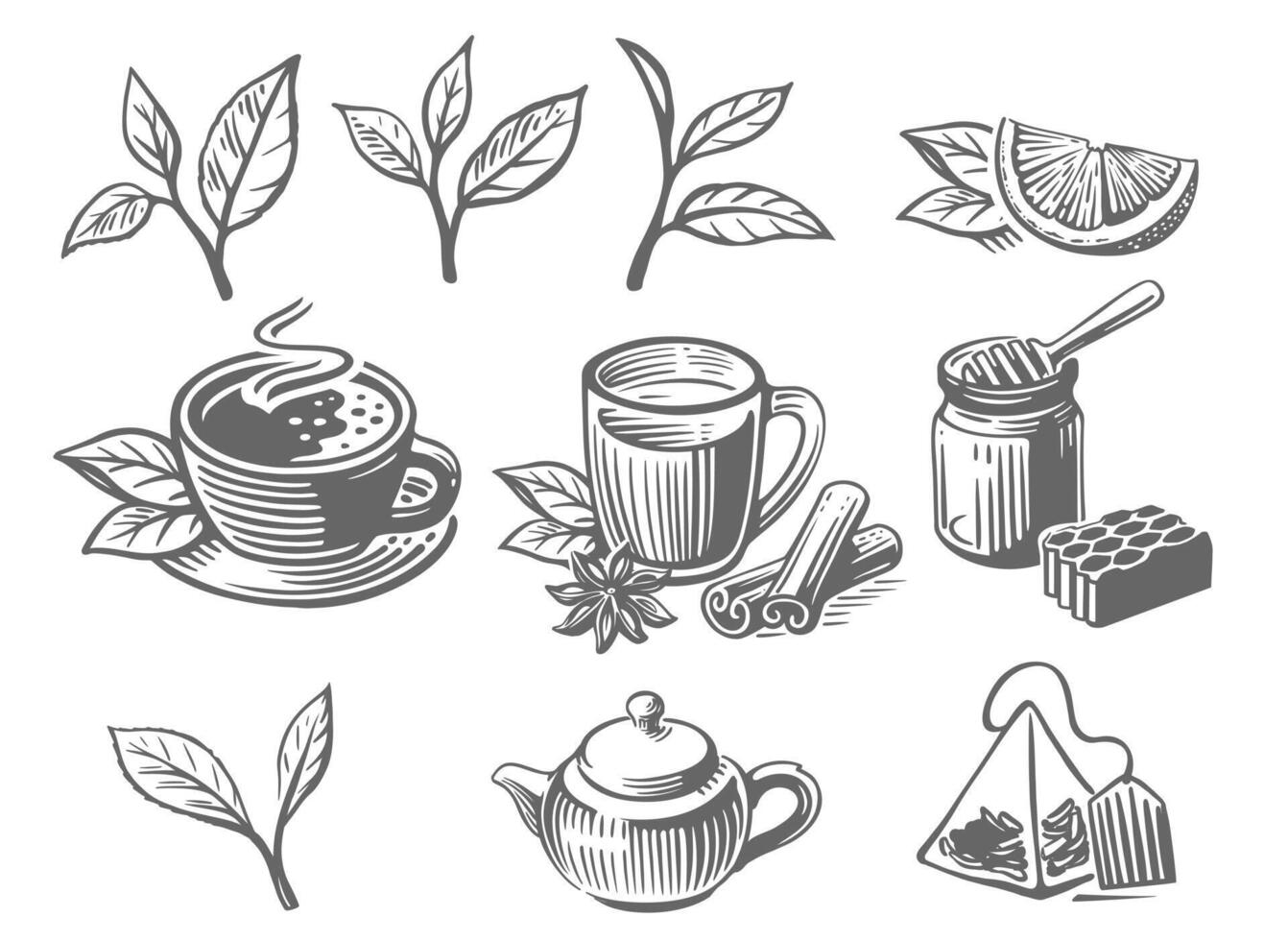 Green tea sketch. Leaves drawing vector