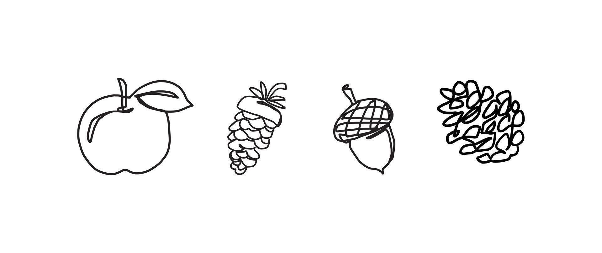 Apple, acorn, nut and oak continuous one line drawing, single line art element, minimalist sketch line illustration, autum and thanksgiving concept vector