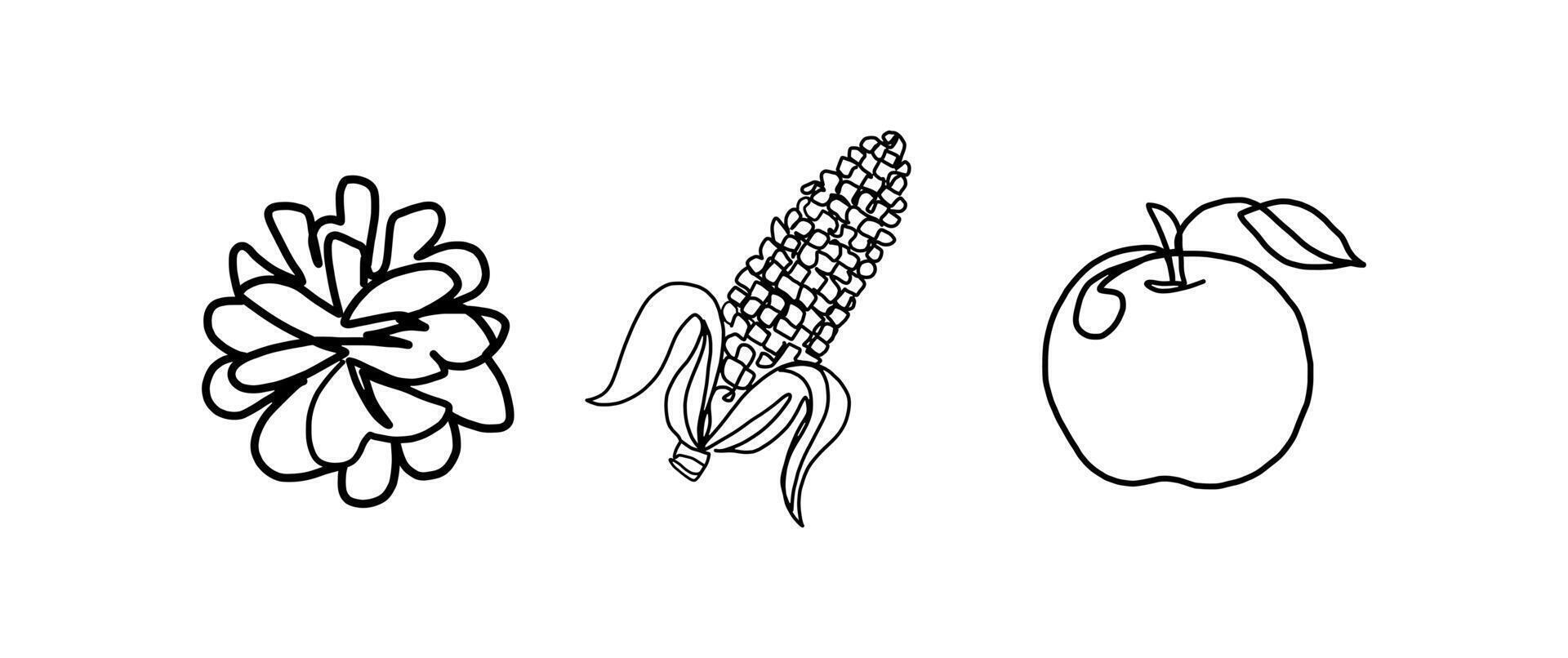 Oak, corn and apple continuous one line drawing, single line art element, minimalist sketch line illustration, autum and thanksgiving concept vector