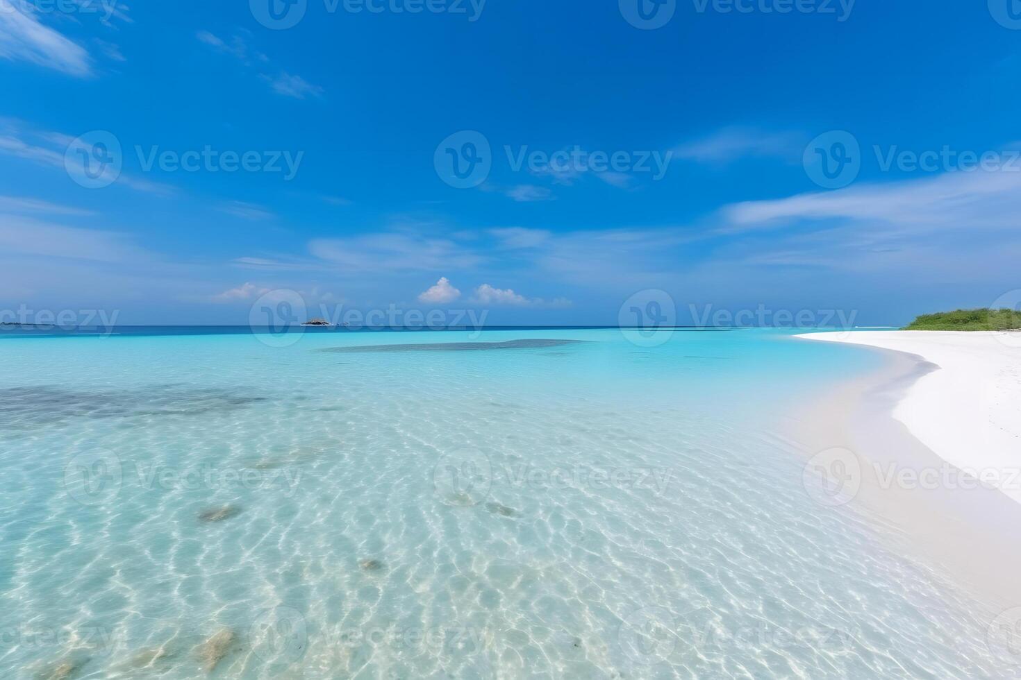 Maldives Islands Ocean Tropical Beach Neural network photo