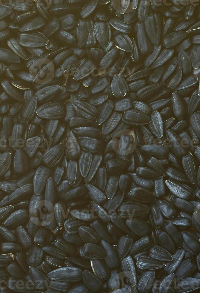 A pattern of many unprocessed fried sunflower seeds in a black shell. photo