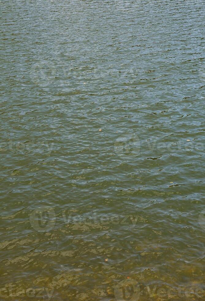 Texture of contaminated river water. The consequences of pollution sources photo