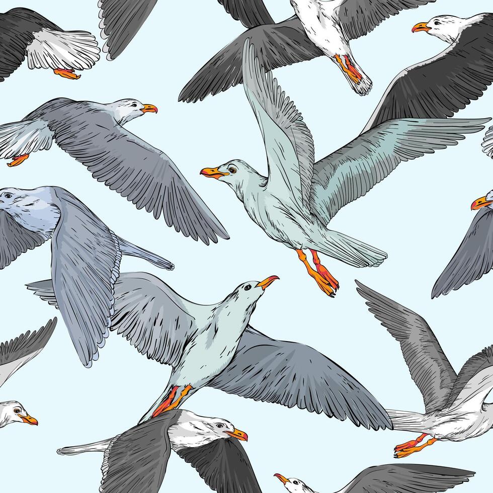 Seamless background with hand drawn seagulls against blue sky vector
