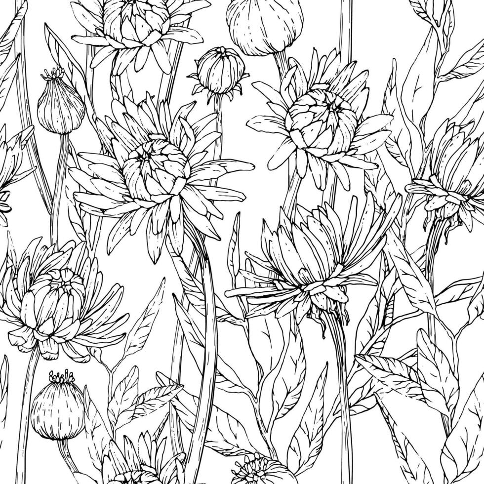 Seamless pattern with hand drawn gerbera flowers and brunchs. vector