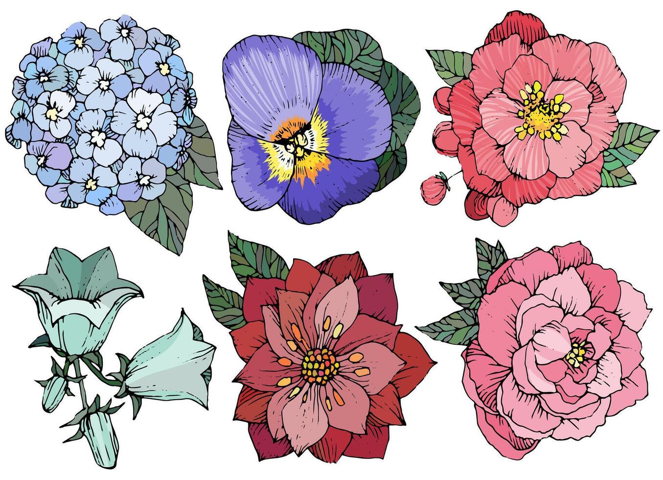 Beautiful floral set, various flowers. Hand drawn Flowers vector