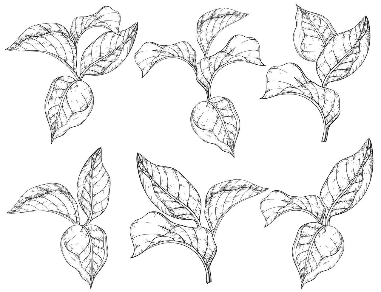 Seamless pattern with forest leafs. Black and white vector