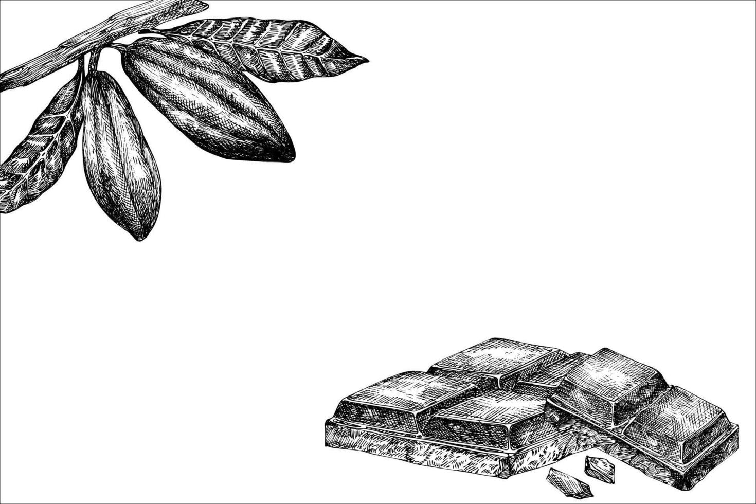 frame with cocoa fruit and chocolate graphic illustration, hand drawn sketch of vegetable, leaves. Botanical drawing of tropical fruit. Engraving for food packaging design. Plant sketch vector