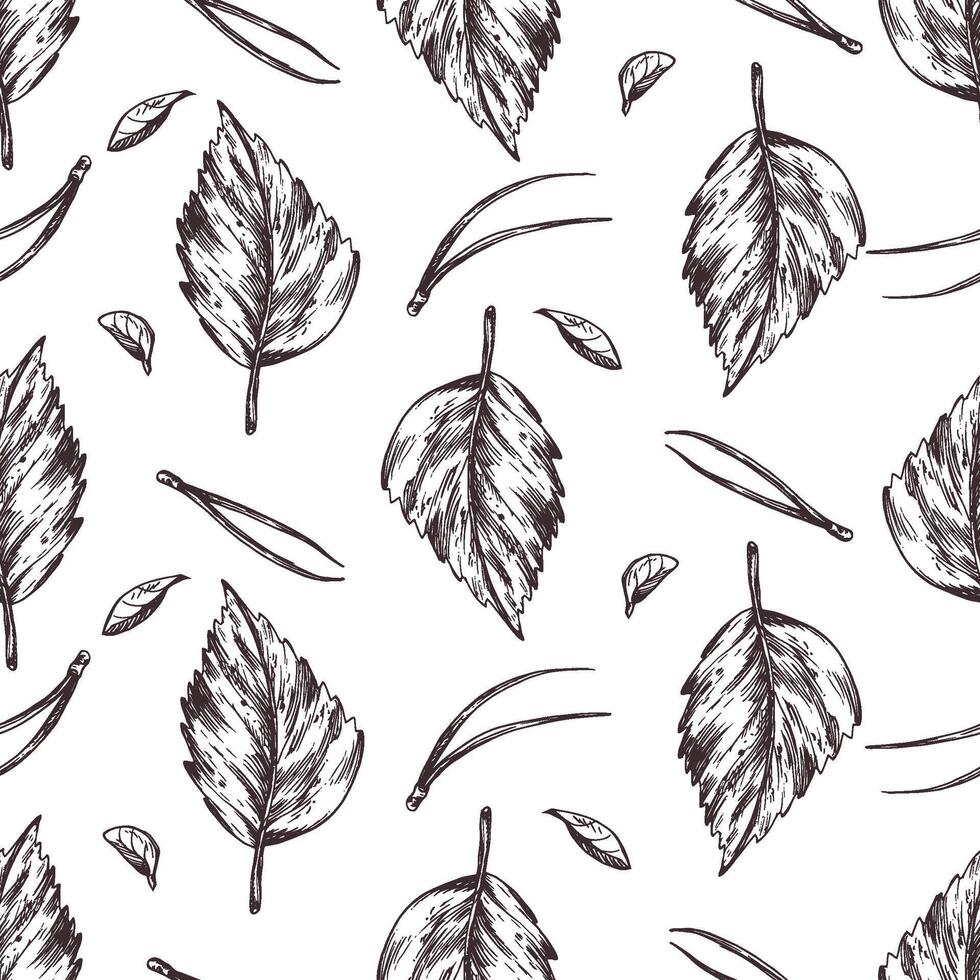 Yellow autumn birch leaves with pine needles. Graphic illustration, hand drawn with brown ink, line art monochrome. Seamless pattern, simple on the theme of forest, harvest, nature. vector