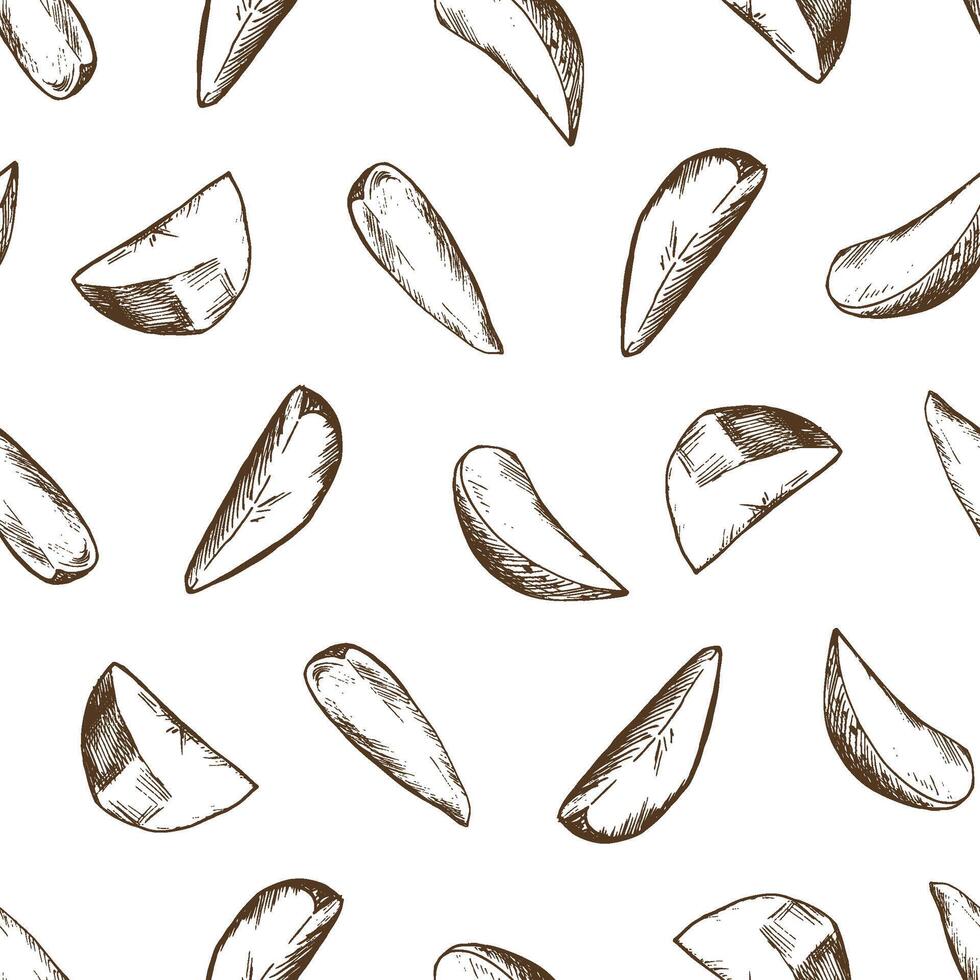 White potatoes in brown skin and peeled, cut into slices. Graphic illustration hand drawn in brown ink. Seamless pattern EPS on the theme of harvest cooking, food, vegetable shop design. vector