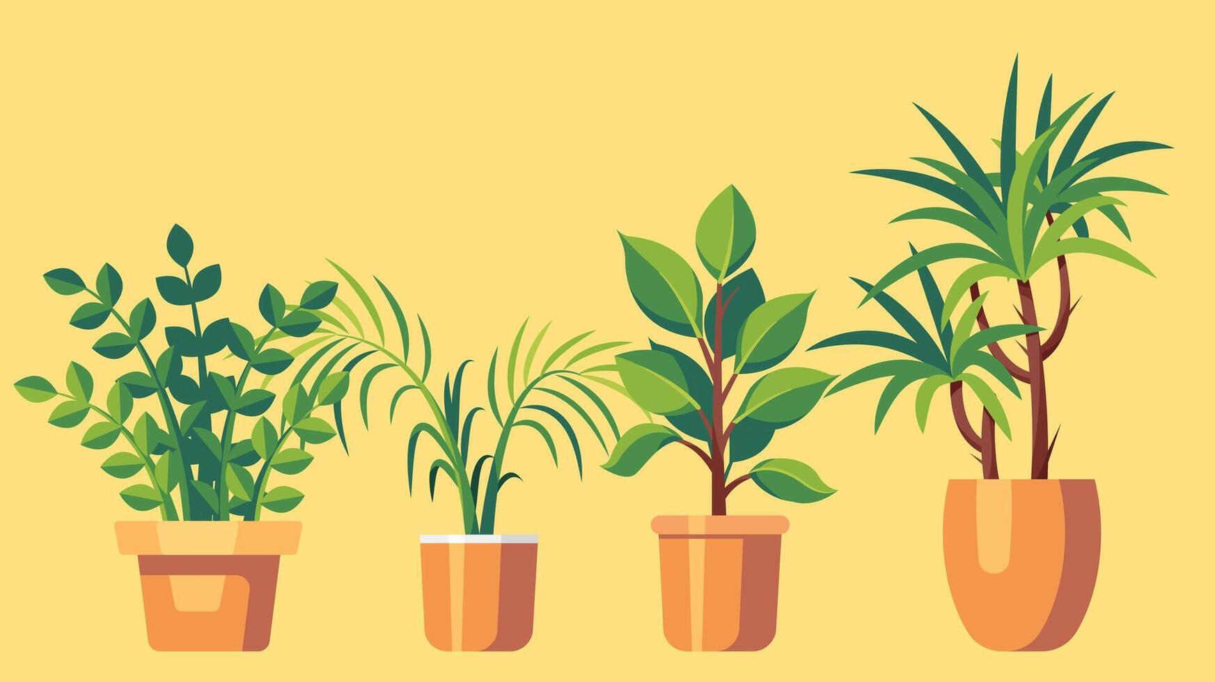 Plants and cactus in pots isolated icons vector