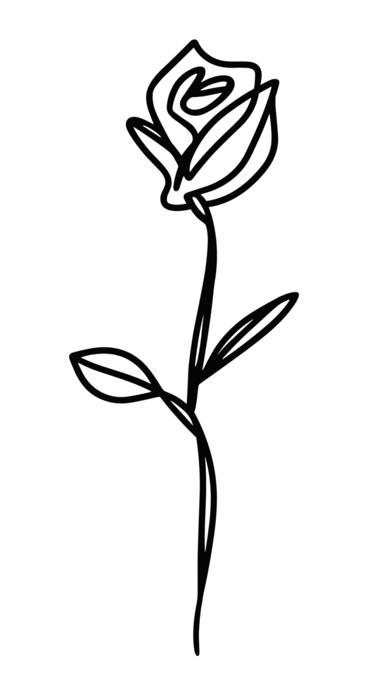 Single rose flower line art graphic drawing sketch doodle illustration isolated element transparent background png