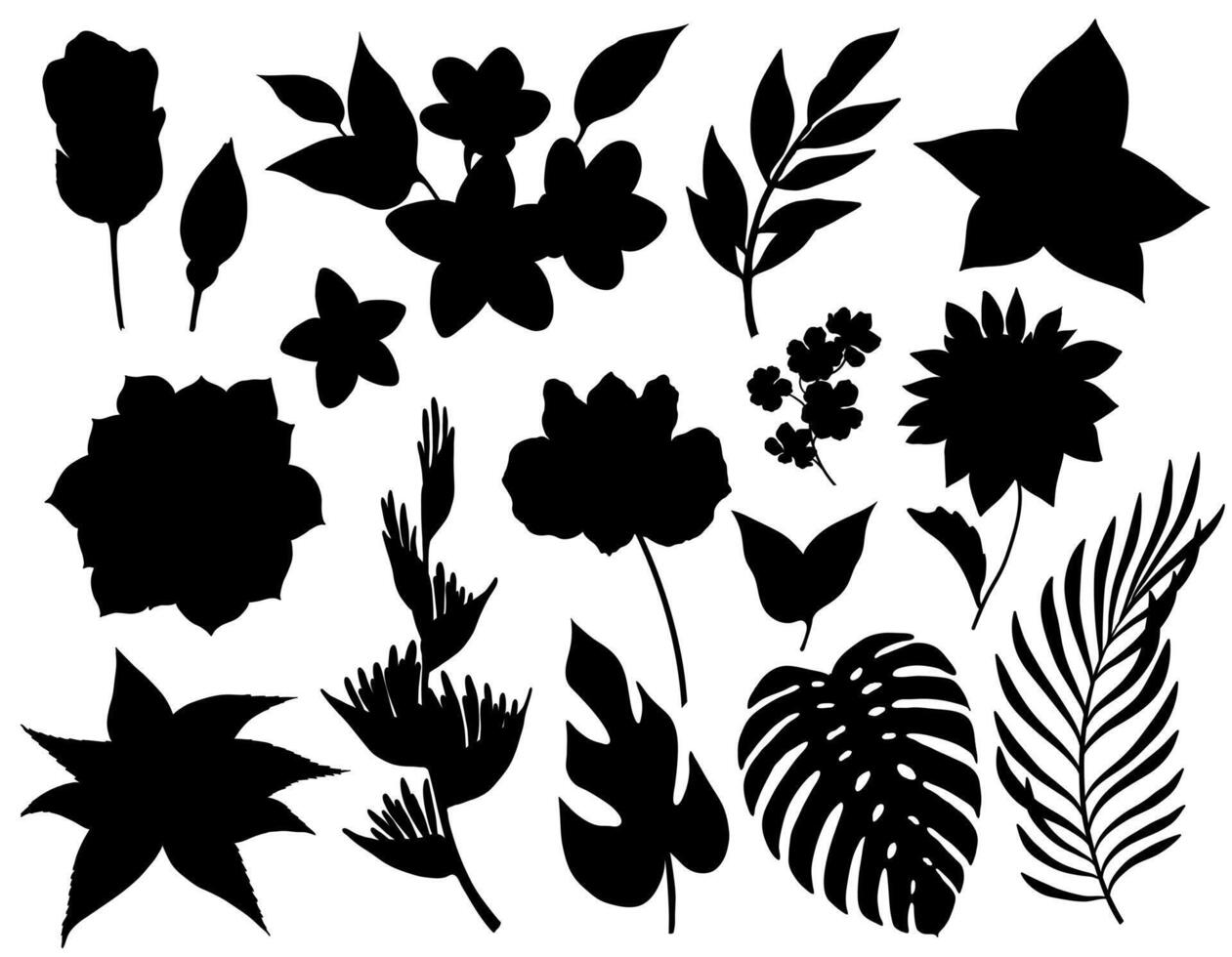 Set of tropical flowers and leaves silhouettes isolated on white background vector