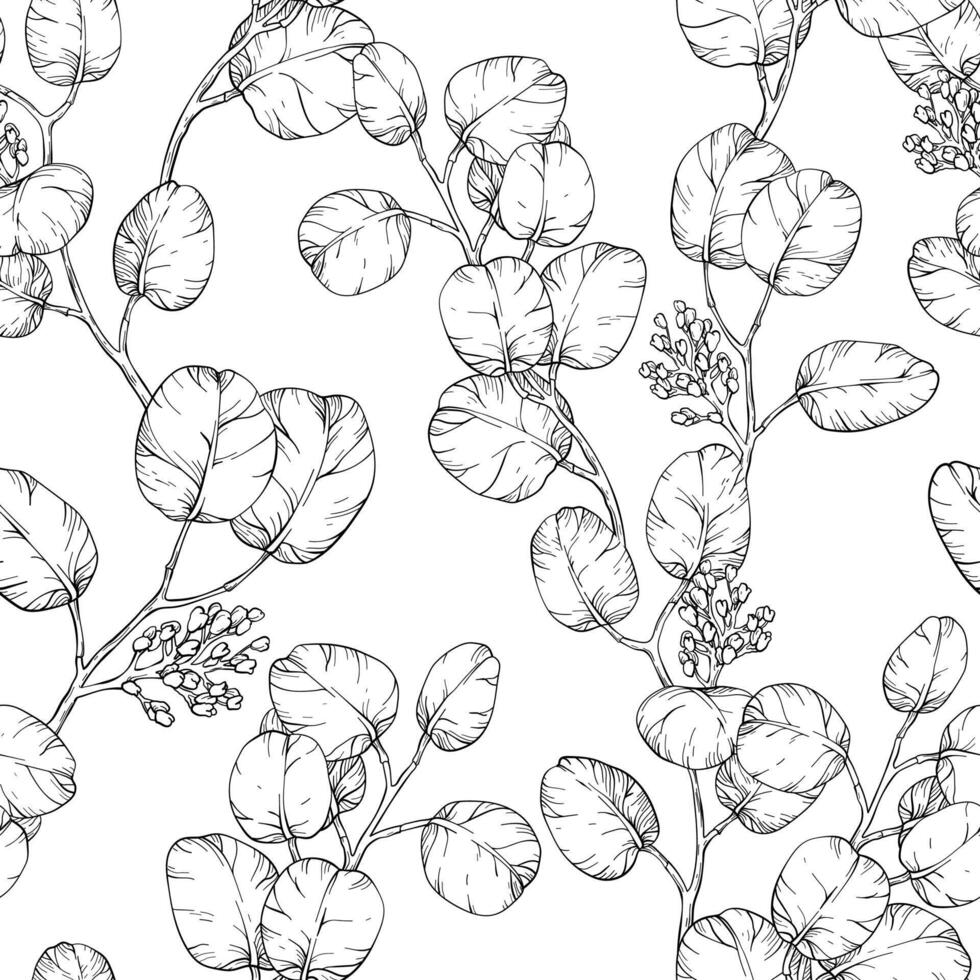 Eucalyptus leaves desig. Seamless pattern with eucalyptus Foliage. Black and white vector