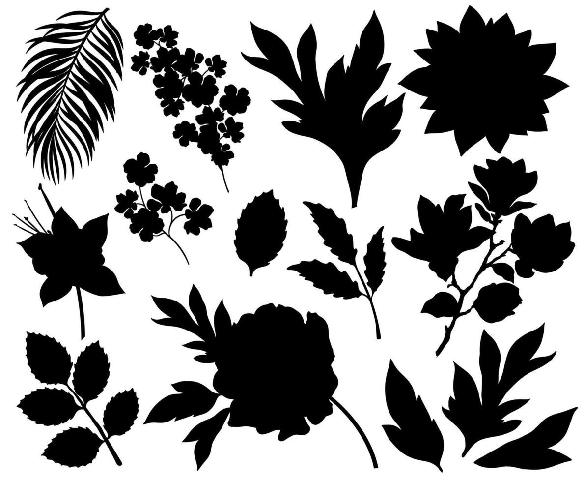 Collection of flowers and leaves silhouettes isolated on white background vector