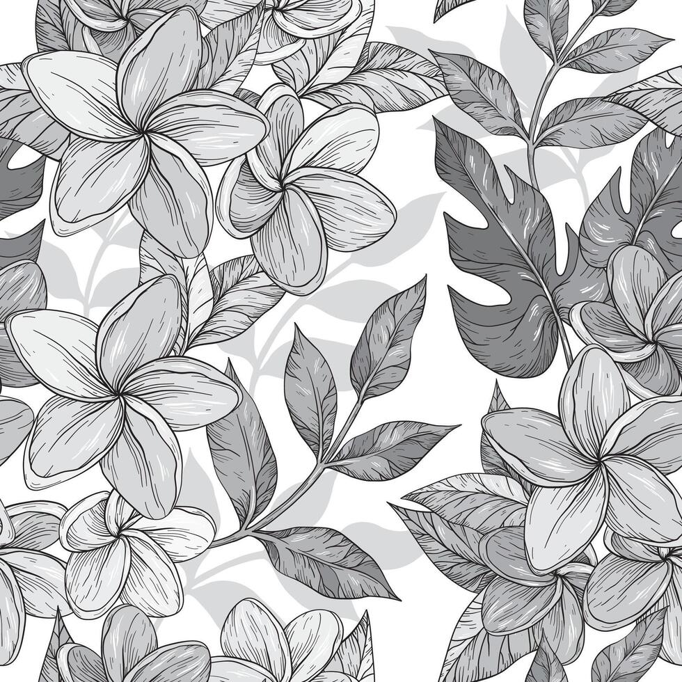 Seamless monochrome background of flowers frangipani, plumeria tropical flower vector