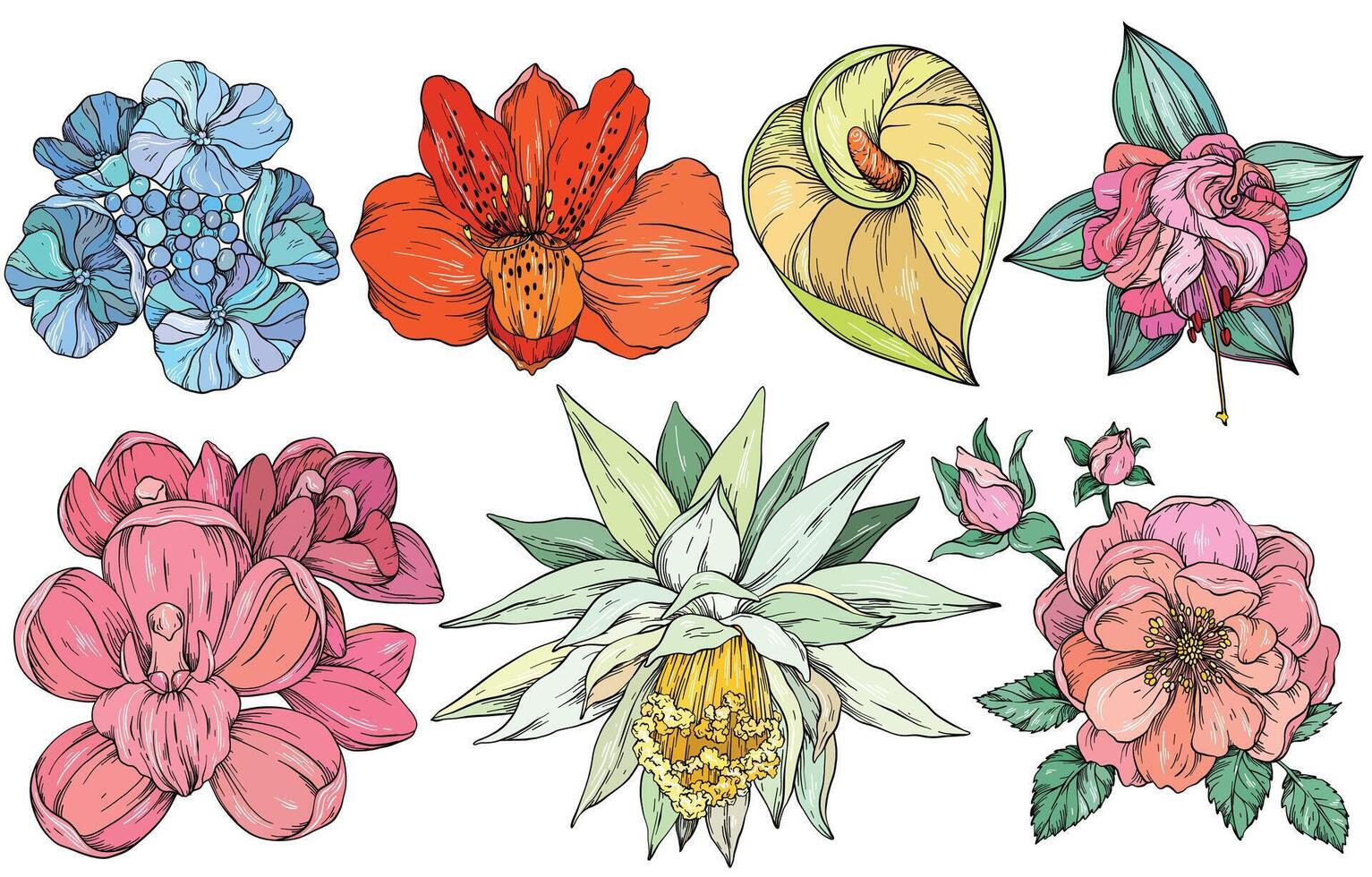 Collection of colorful summer flowers vector
