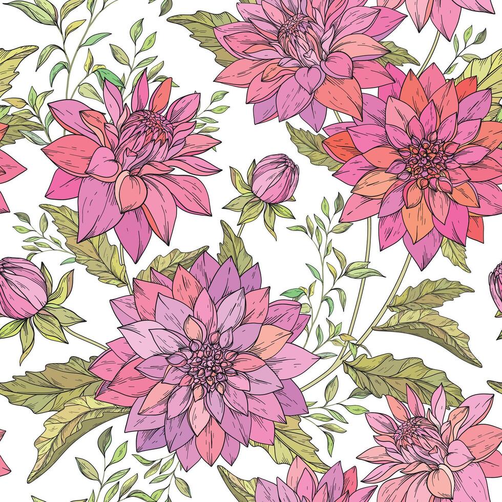seamless pattern with pink chrysanthemum flowers vector