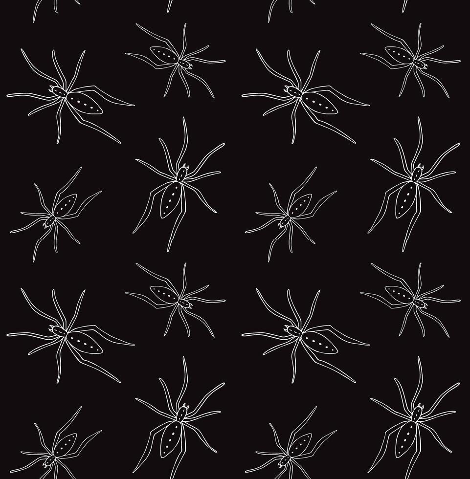 Seamless pattern of hand drawn spider vector