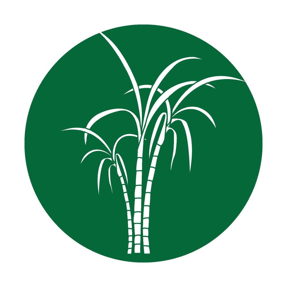 Sugar cane icon vector