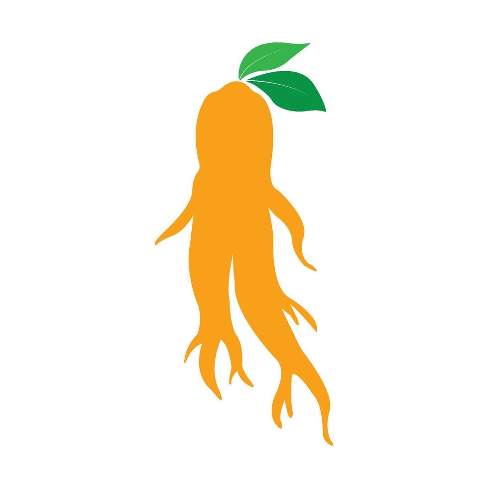 Ginseng icon design vector