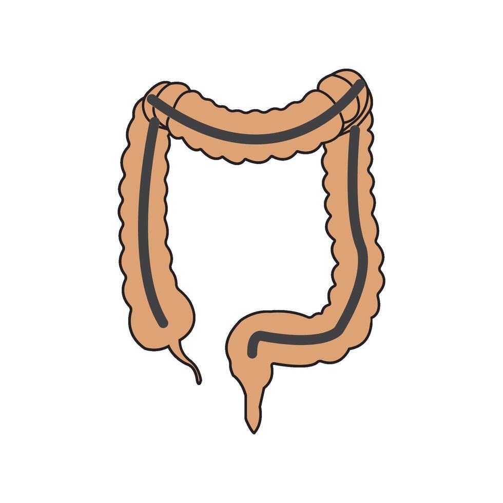 intestines icon design vector