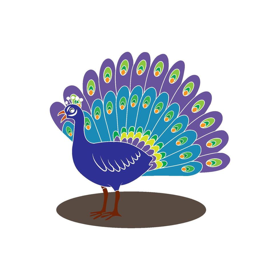 peacock bird icon vector