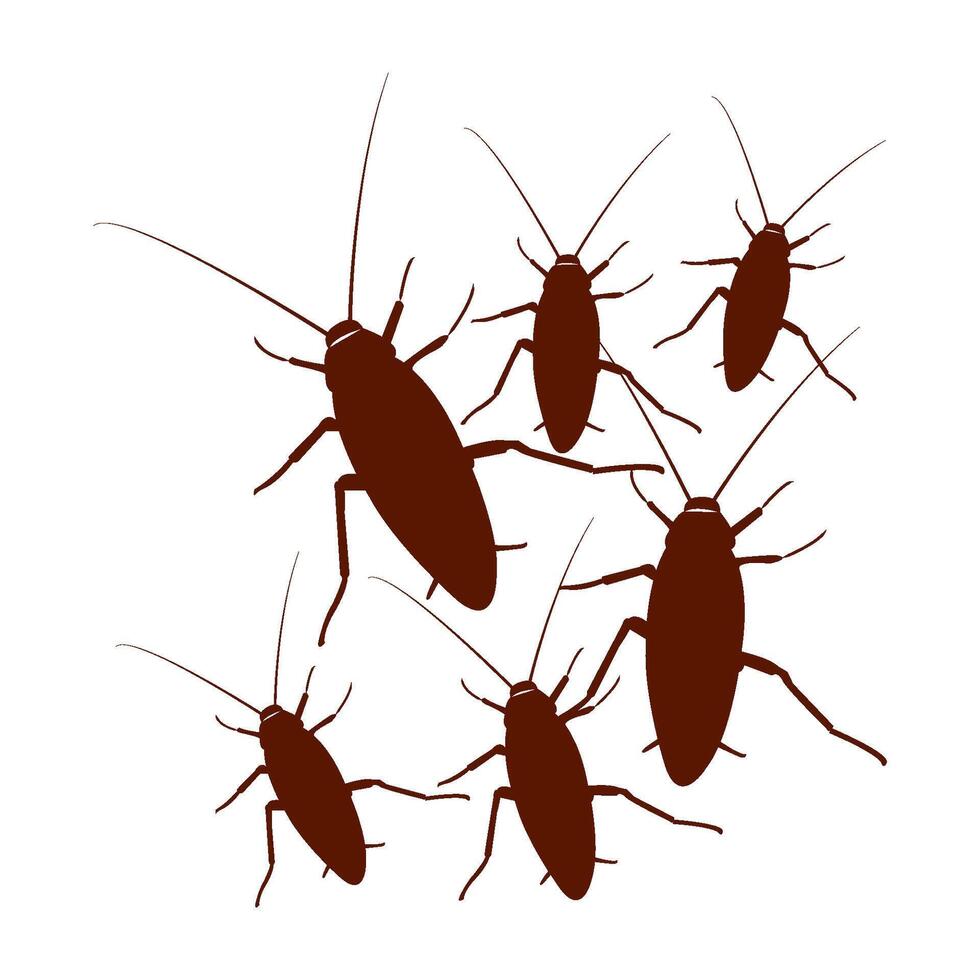 cockroach icon design vector