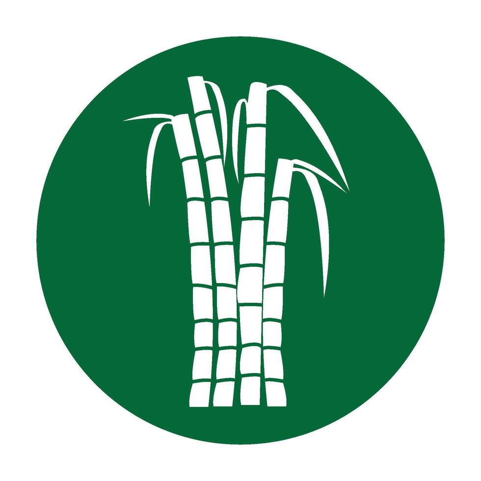 Sugar cane icon vector