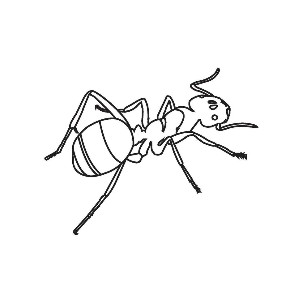 Ant icon design vector