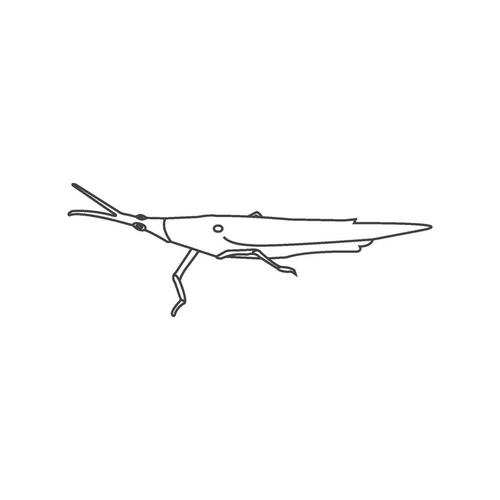grasshopper icon design vector